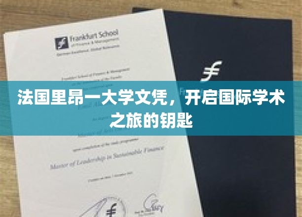 法国里昂一大学文凭，开启国际学术之旅的钥匙
