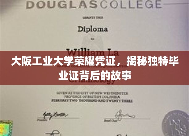 大阪工业大学毕业证之谜，探寻独特荣耀凭证背后的传奇