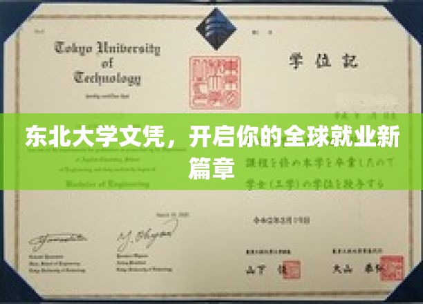 东北大学学历，助你踏遍全球职场舞台