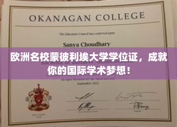 跨国学术之梦，蒙彼利埃大学学位证助你一臂之力！
