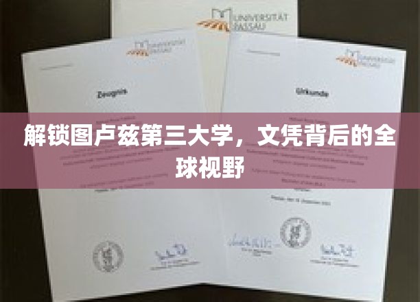 图卢兹三大学文凭，透视世界舞台的通行证