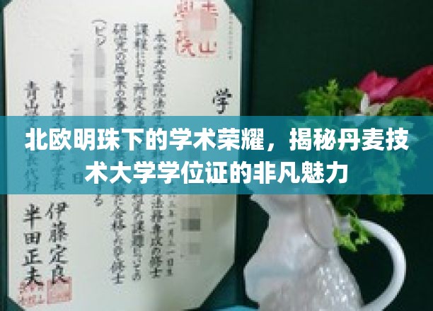 闪耀北欧的学位荣耀，丹麦技术大学证书的独特风采揭秘