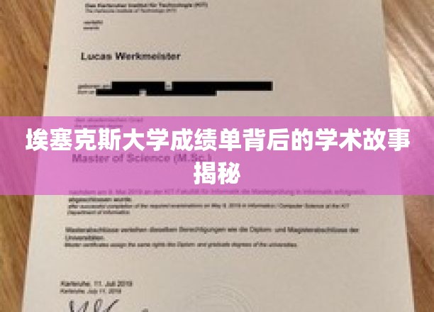 埃塞克斯大学成绩单背后的学术故事揭秘