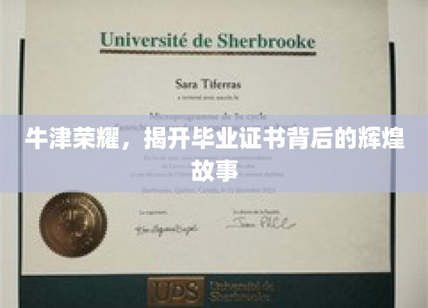 牛津荣耀，揭秘毕业证书背后的传奇历程