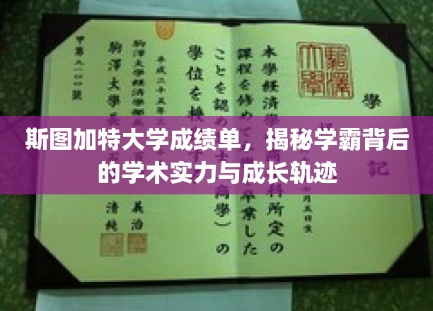 斯图加特大学成绩单，揭示学霸背后的学术实力与成长轨迹