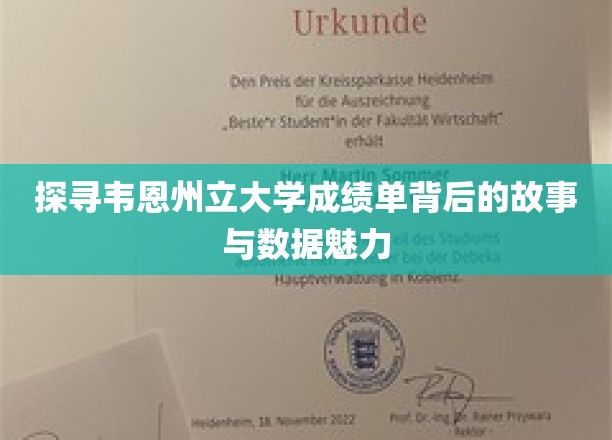 解码韦恩州立大学成绩单，揭秘学术成就的数字密码