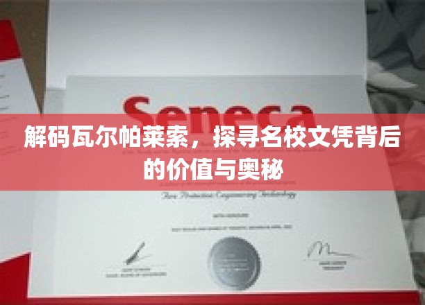 解码瓦尔帕莱索，探寻名校文凭背后的价值与奥秘