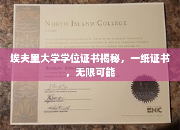 埃夫里大学学位证书揭秘，一纸证书，无限可能