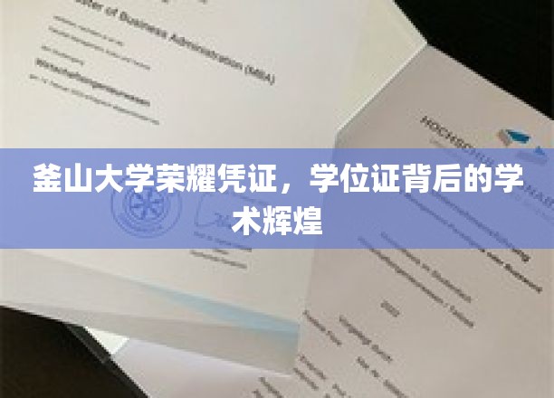 釜山大学荣耀证书，学位证映照的学术荣耀