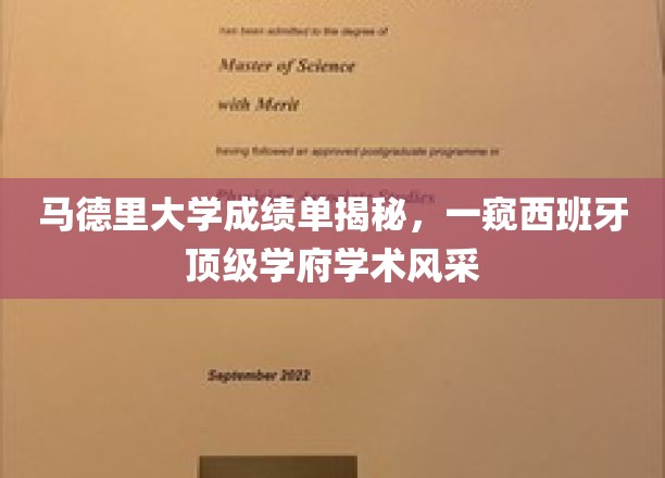 探索马德里大学背后的学术魅力，一纸成绩单中的西班牙顶级学府风采