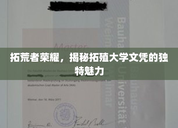 拓殖大学文凭，探索未知领域的荣耀之门