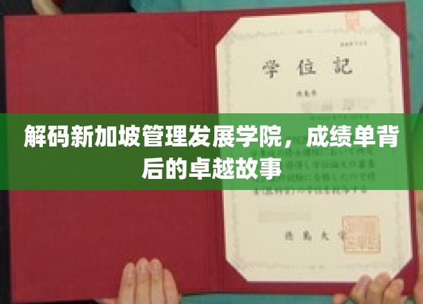 解码新加坡管理发展学院，成绩单背后的卓越故事