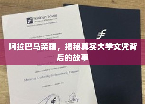 阿拉巴马辉煌，揭秘大学文凭背后的传奇故事