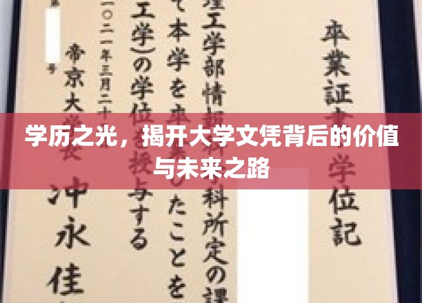 学位之翼，探寻高等教育文凭的内在价值与职业未来奥秘