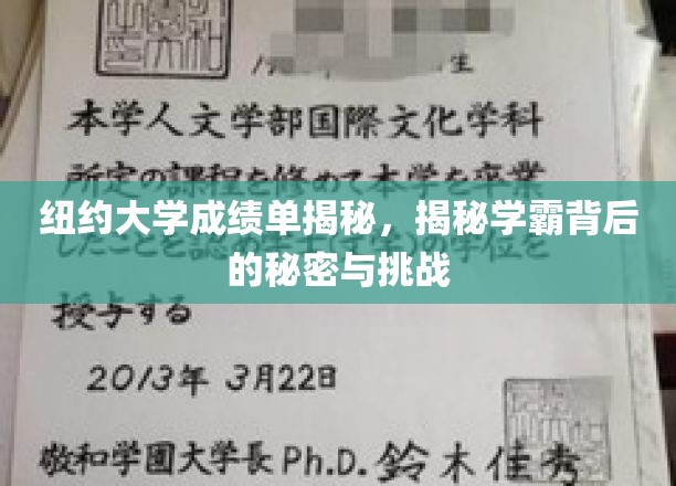 纽约大学学霸养成记，揭秘背后的辛勤与智慧