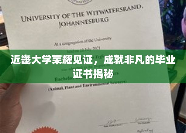 近畿大学荣耀绽放，探索非凡毕业证书背后的故事