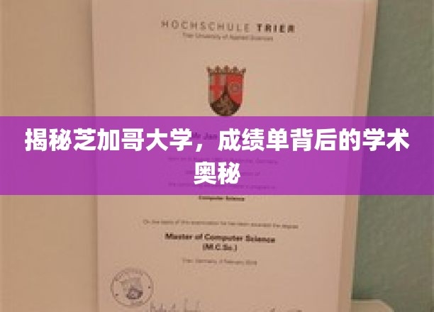 芝加哥大学成绩单，解码顶尖学府的学术实力与秘密