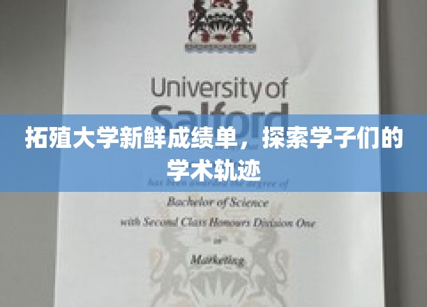 拓殖大学学子风采，解码学术成长之路