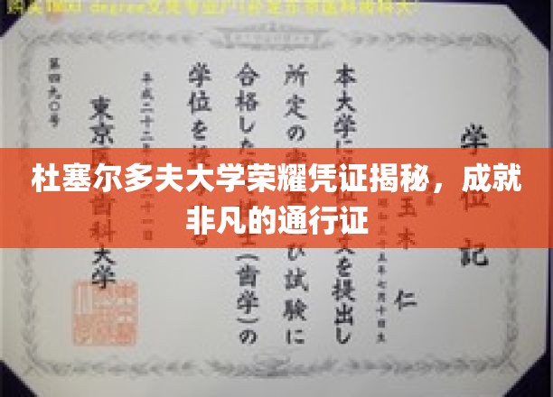 杜塞尔多夫大学荣誉证书背后的非凡故事，解锁成功之路的密钥