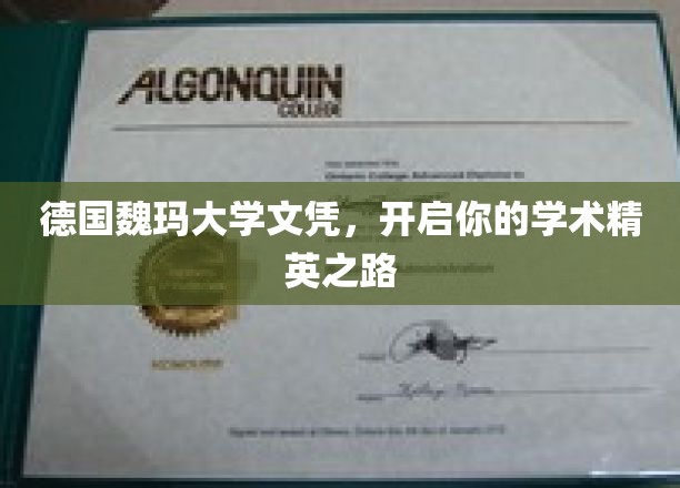德国魏玛大学荣耀通行证，铺就学术精英璀璨前程