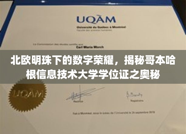 哥本哈根IT之光，探寻北欧明珠学位证的奥秘之旅