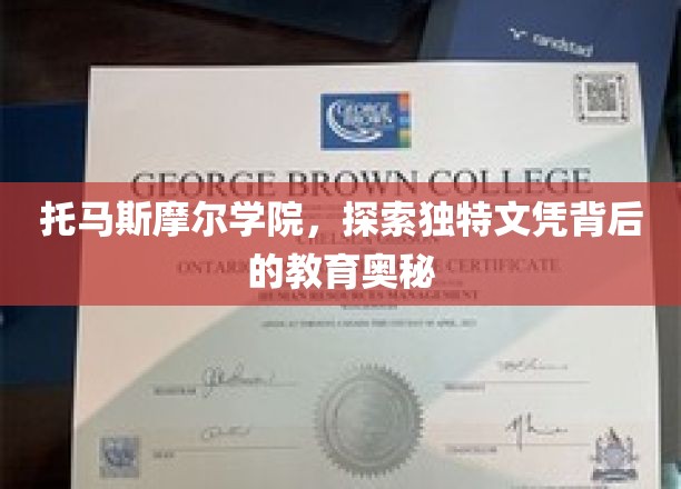 托马斯摩尔学院，探索独特文凭背后的教育奥秘