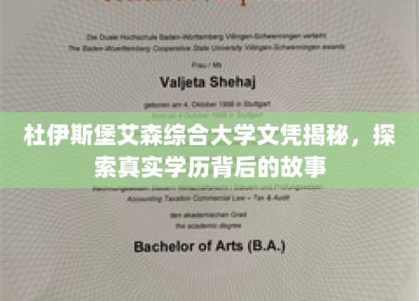 揭开杜伊斯堡艾森大学文凭之谜，探寻学历背后的真实面貌