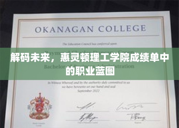 解码未来，惠灵顿理工学院成绩单中的职业蓝图