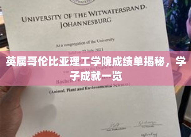 英属哥伦比亚理工学院学子风采大揭秘，揭秘卓越成绩背后的故事