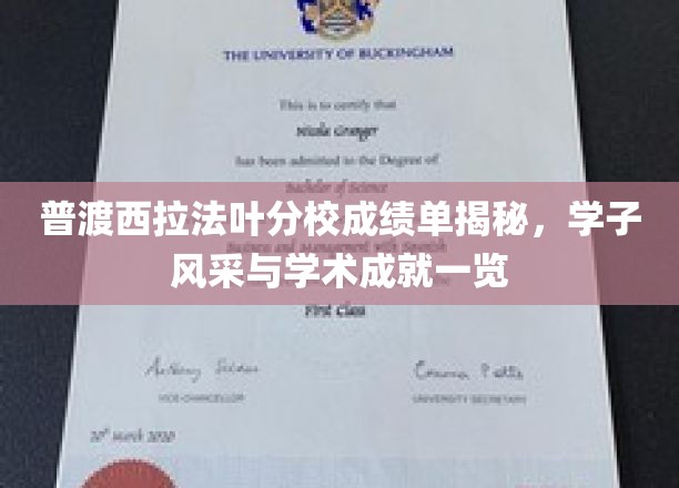 普渡西拉法叶分校精英档案，学子卓越成就大揭秘
