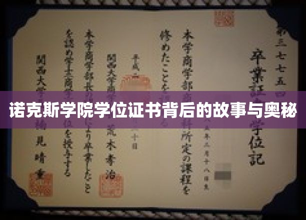 解码诺克斯学院，学位证书背后的神秘面纱