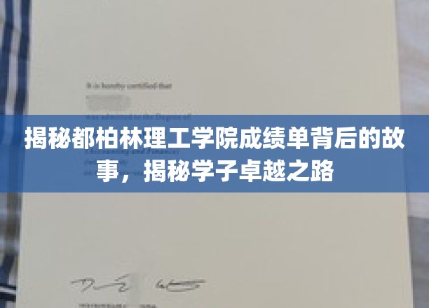 探寻都柏林理工学院学子卓越背后的秘密，一份成绩单背后的成长轨迹