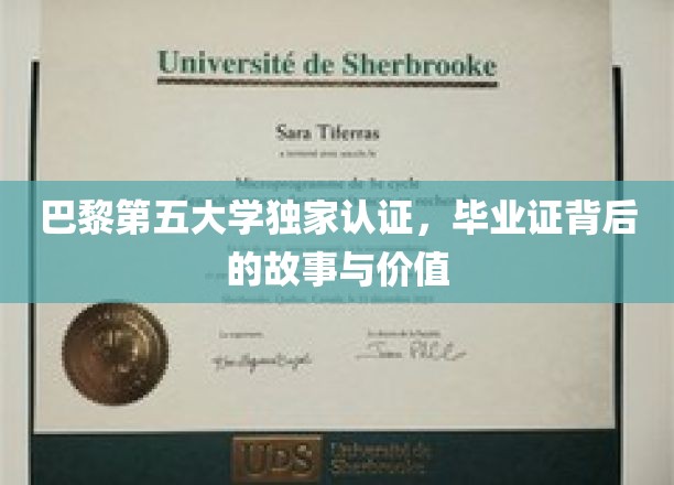解码巴黎第五大学，独家认证背后的辉煌与意义