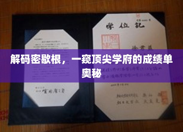 探索密歇根大学，揭秘学术巅峰的秘密档案