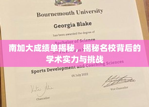 解码南加大，探究顶尖学府的学术实力与成长考验