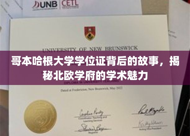 探寻哥本哈根大学学位证背后的传奇，北欧学术圣地的魅力揭秘