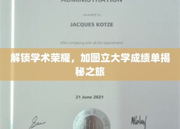 探索加图立大学成绩单的隐藏秘密，学术成就之旅
