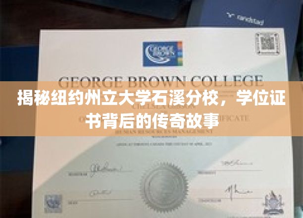 解锁石溪分校，学位证书背后的神秘篇章