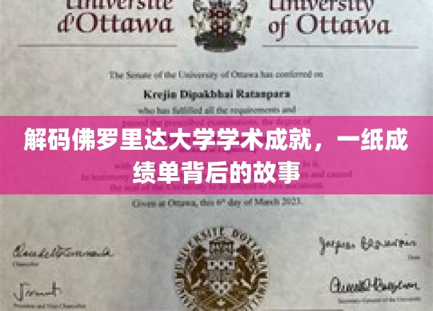 解码佛罗里达大学学术成就，一纸成绩单背后的故事