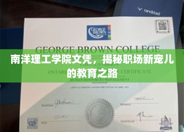 南洋理工学院文凭，揭秘职场新宠儿的教育之路
