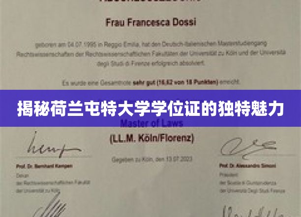 荷兰屯特大学学位证，探寻其背后的独特光环