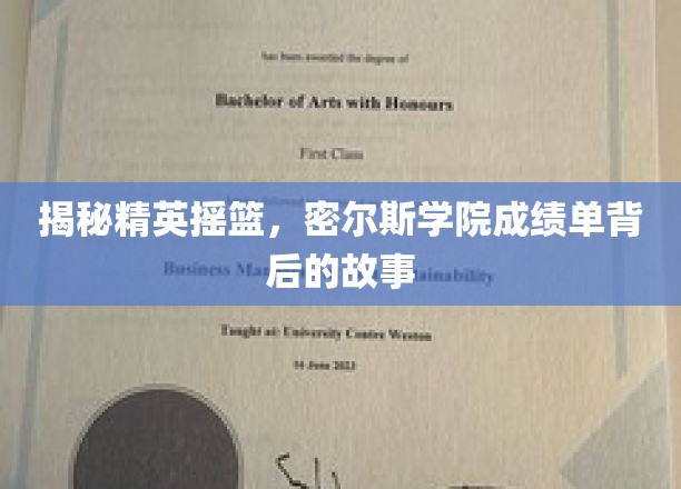 解码精英教育秘籍，探寻密尔斯学院成绩单背后的传奇之旅