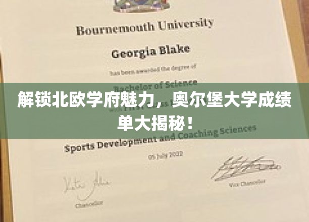 揭开奥尔堡大学神秘面纱，北欧教育之光如何照亮你的未来？