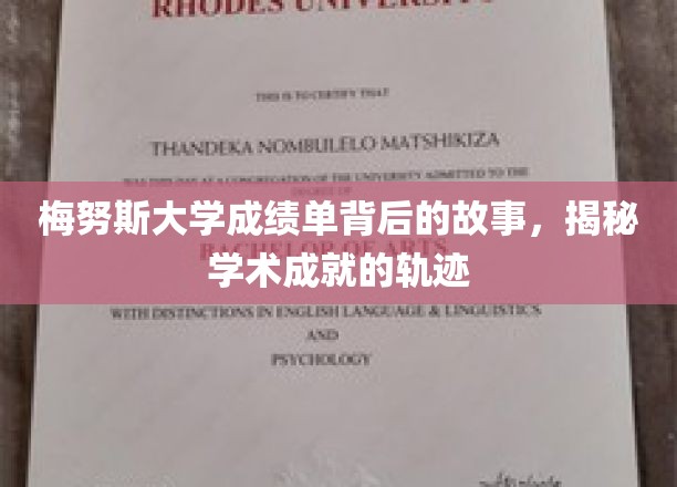 探寻梅努斯大学成绩单背后的辉煌历程
