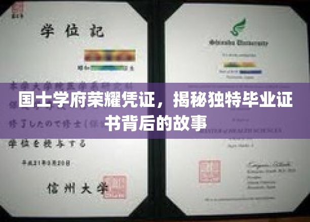 国士学府独领风骚，探寻荣耀毕业证书背后的传奇
