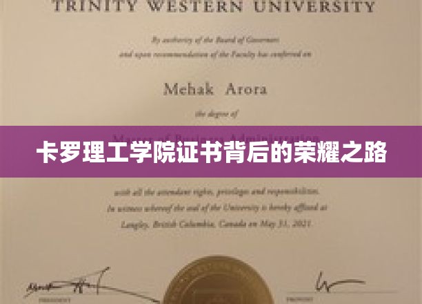 解码卡罗理工学院证书，荣耀背后的非凡旅程