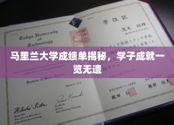 马里兰大学学子成绩大揭秘，独家曝光学术实力与辉煌成就