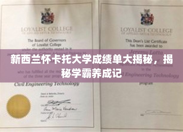新西兰怀卡托大学成绩单大揭秘，揭秘学霸养成记