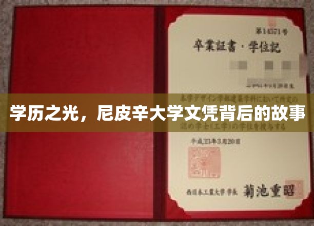 学历之光，尼皮辛大学文凭背后的故事