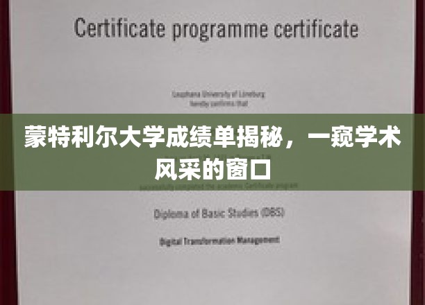 蒙特利尔大学成绩单揭秘，一窥学术风采的窗口